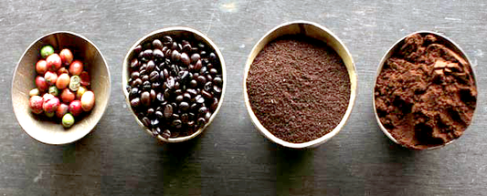Explorando el Café de Origen: Un Viaje Sensorial a Través de las Tierras Cafetaleras